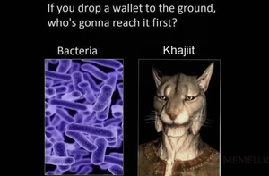 IDvQEJJ6.jpg