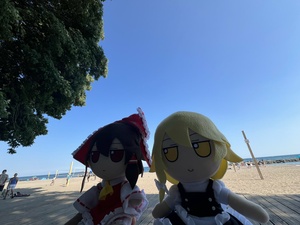 lfvb4jzO.jpg