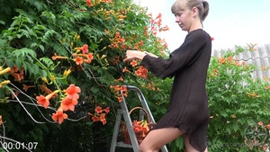 [Image: ME14KM5T_t.jpg]