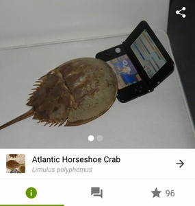 WQbizSRZ.jpg