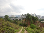 Hiking Tin Shui Wai 2024 - 頁 2 MET2YCM_t