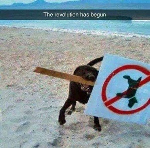 0tAK5wEf.jpg
