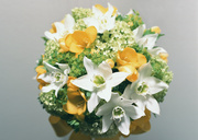 Праздничные цветы / Celebratory Flowers MEN9R5_t