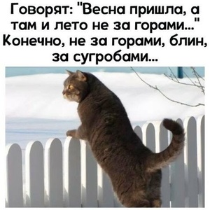 Задавайте свои вопросы здесь. Том X