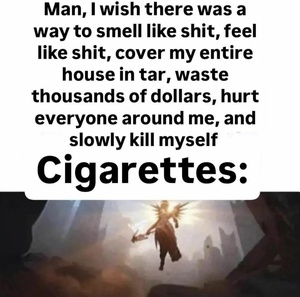 Mo7vnat6.jpg