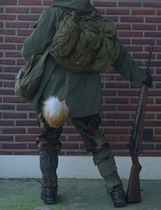 bQpA9MK5.jpg