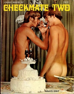 1970s Gay Porn Magazines - PornCoven