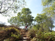 Hiking Tin Shui Wai 2023 July - 頁 3 MEQZMAF_t