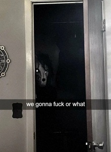 dYNjaWlY.jpg