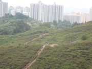 Tin Shui Wai Hiking 2023 - 頁 3 MEKZBFJ_t