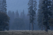 Йосемитская долина / Yosemite Valley MEJQDD_t