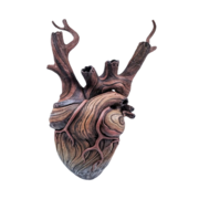 A wooden-style sculpture of an anatomically correct human heart.