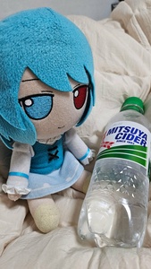 dPNQTLVt.jpg