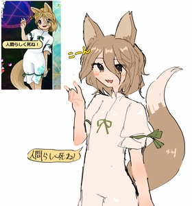SOqlK9ex.jpg