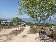 Hiking Tin Shui Wai 2024 MERZAN7_t