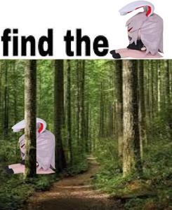 qNpPzFGH.jpg
