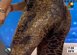 Colitaz-Nazarena.Velez.Catsuit.Leopardo.Vueltita.Intrusos.HQ.60FPS.144.jpeg