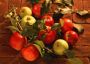 Урожай фруктов / Abundant Harvest of Fruit MEH303_t