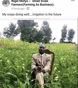 4JFHoHVT.jpg
