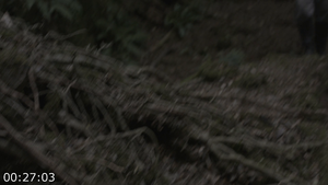 [Kép: ME1AW7P6_t.png]