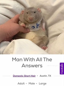 f1uP9Z5U.jpg