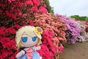 pM4tmm0f.jpg