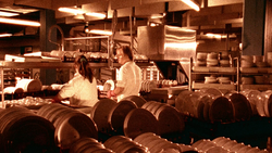 [Obrazek: ME1544CD_t.png]