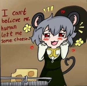 Rz61QnNH.jpg