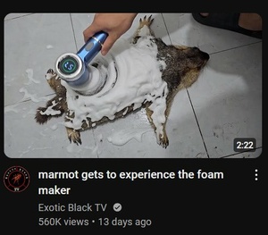 YsrmBBLM.jpg