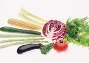 Сезонные овощи / Vegetables in Season MEH18U_t