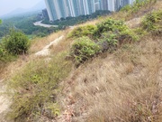 Hiking Tin Shui Wai 2023 July - 頁 3 MEQLH80_t