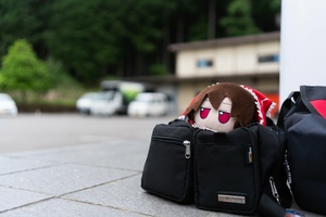 PnRpqcN9.jpg