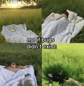UoTSgD7g.jpg