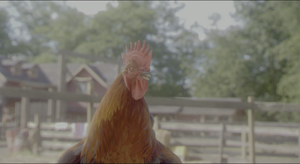 Movie cover image