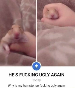 j1fqZN5d.jpg