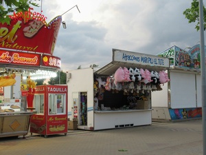 IMG_7917.jpg