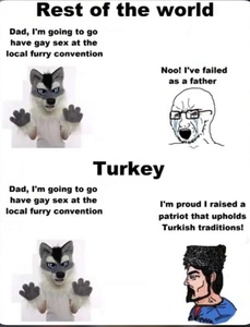 i5KpWLMn.jpg