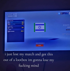 viJiZI7Q.jpg