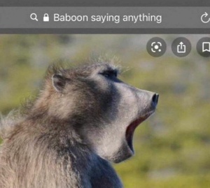 WWGfUz0m.jpg