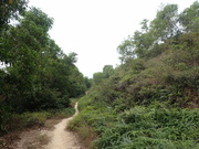 Hiking Tin Shui Wai 2023 July - 頁 3 MEQLIQH_t