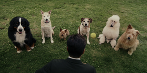 Movie cover image