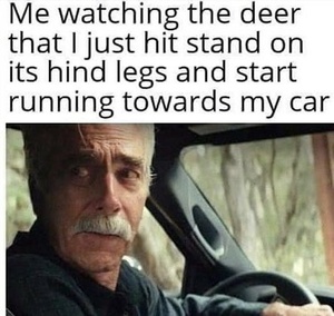 M0eP00Dc.jpg