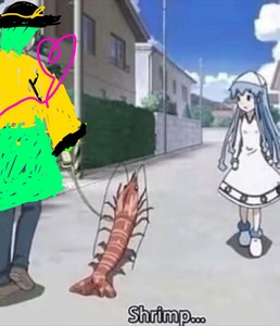 vpHaFNTL.jpg
