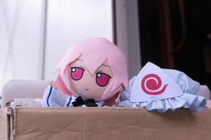 HAUhog6l.jpg