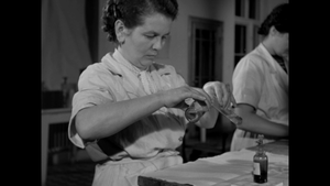 [Obrazek: MEQBNC2_t.png]