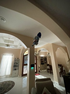 Gv78J1jo.jpg