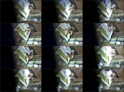 [Image: ME17WQEG_t.jpg]