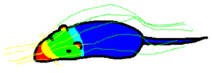 M2eoQCkD.jpg