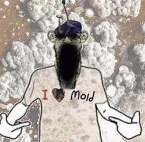 EaeaG4WW.jpg