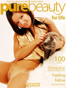 Permanent Link to 2006 06 27 – s234933 – Jana M – Feeling Feline